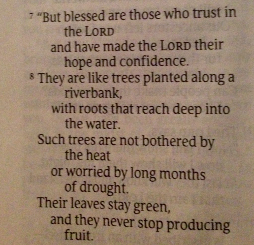 Casey Nezhoda On Ae On Twitter What A Beautiful Bible