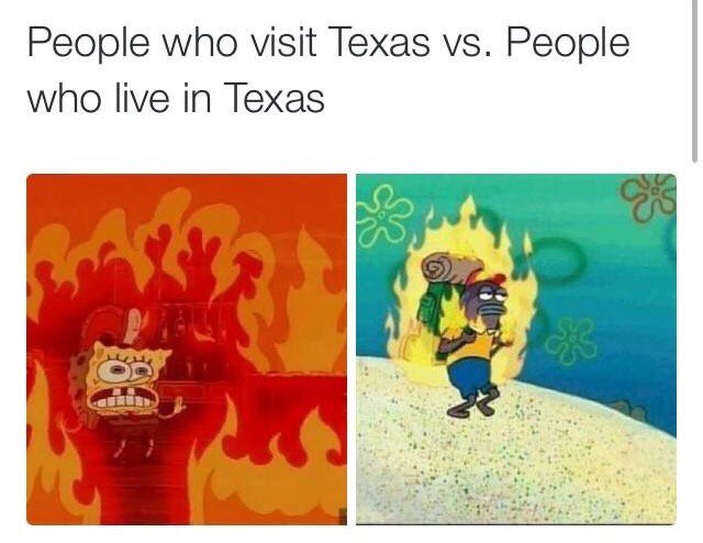 Funny Hood Comedy 🔫 tweet media