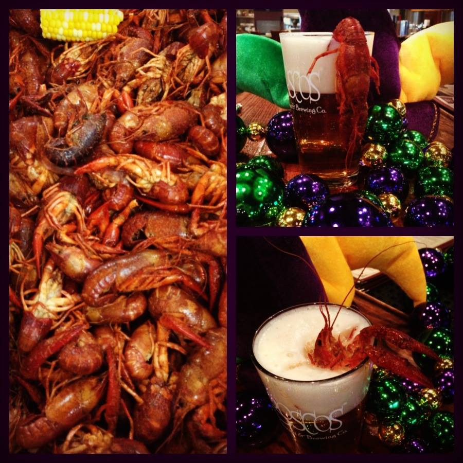It's Fat Tuesday!  Are you ready to celebrate?  We are....Hurricanes, Crawfish, Etouffee and more! #boscossquared