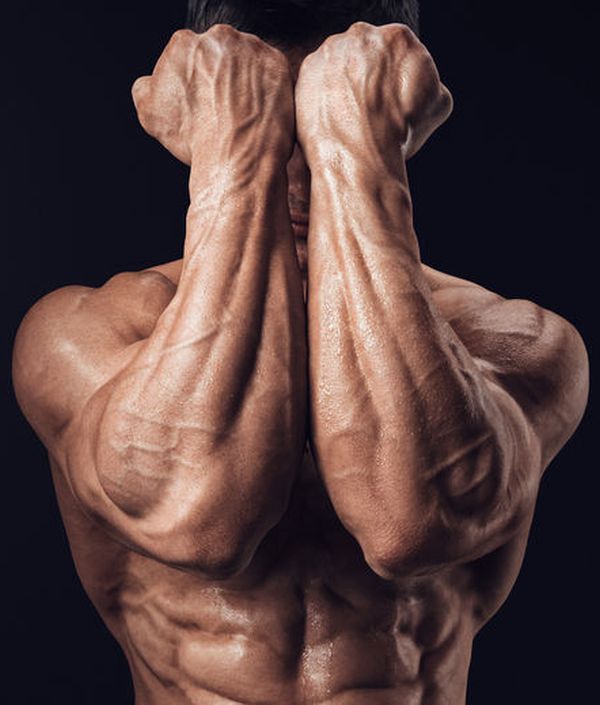 TimetoLiveFast's tweet photo. Yea... it feels kinda like this. #timetolivefast #getripped #feelinggood #healthylifestyle #workingout #eatingright https://t.co/W8TLAypeQy