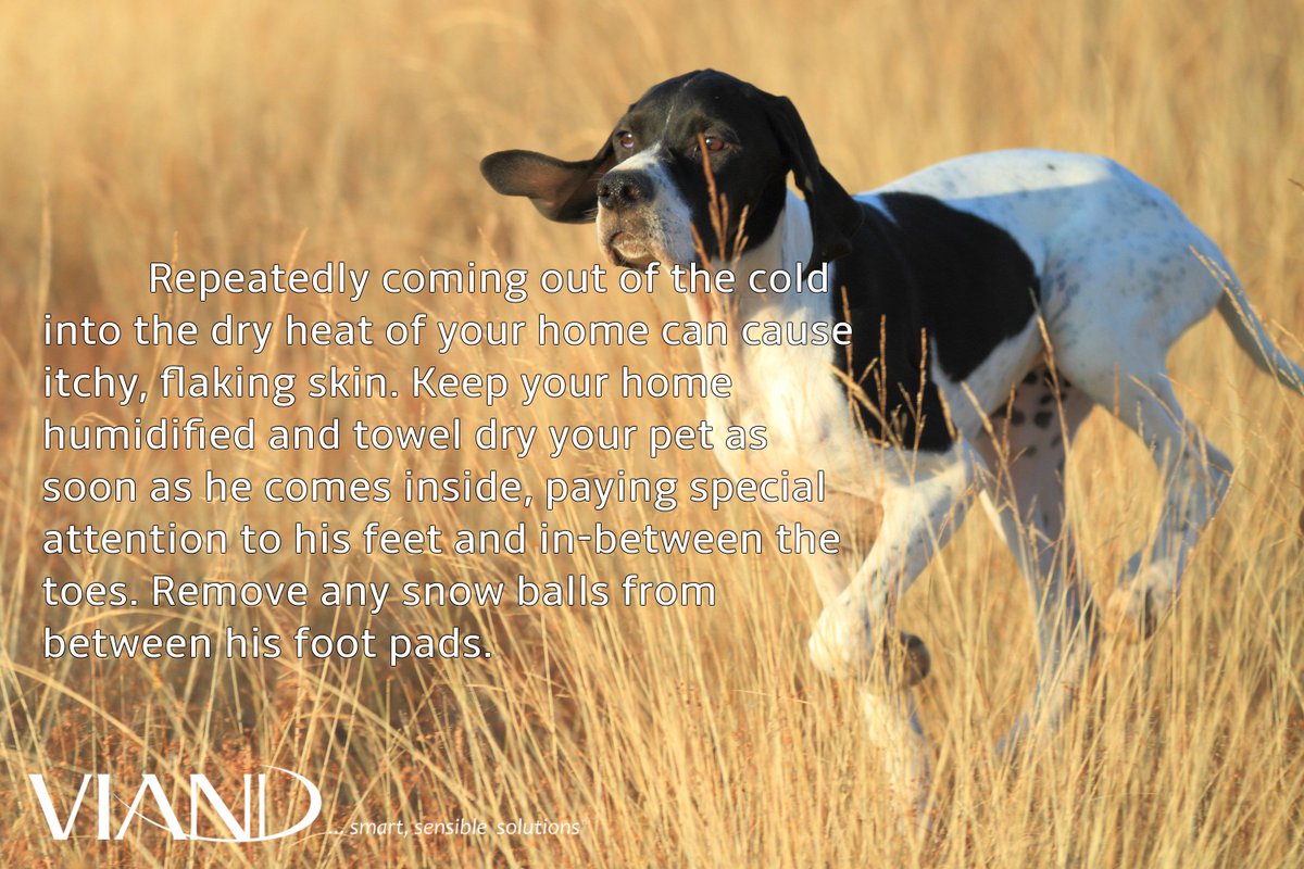 ViandPet's tweet photo. Pet Tip Tuesday! https://t.co/LF9rJCHQXJ