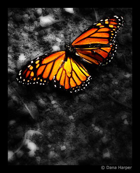 Devirism's tweet image. The aesthetics of death deviris.ma/2016/02/09/the…