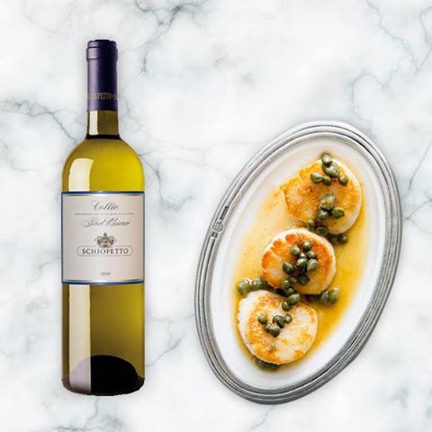 Il Pinot Grigio del Collio profuma di gelsomino, susina, ananas e scorza di lime su fondo salmastro. <a href="/schiopetto/">Schiopetto Wines</a>
