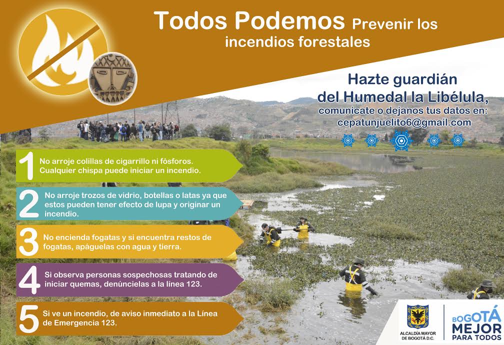ALCtunjuelito's tweet photo. Febrero es el #MesDeLosHumedales, cuidemos y respetemos la madre tierra. @AmbienteBogota @AlcaldiaBogota @Bp_Gabo https://t.co/hJTl1jffly