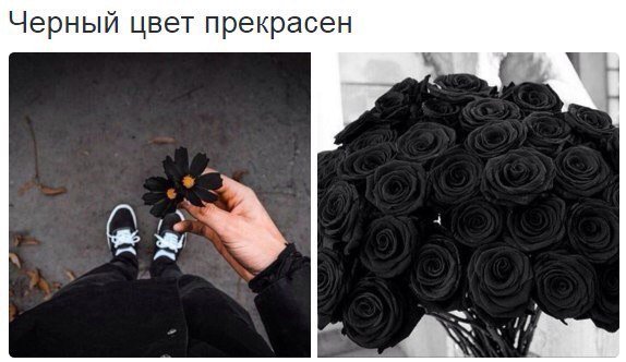 Лера Тимиряева tweet media
