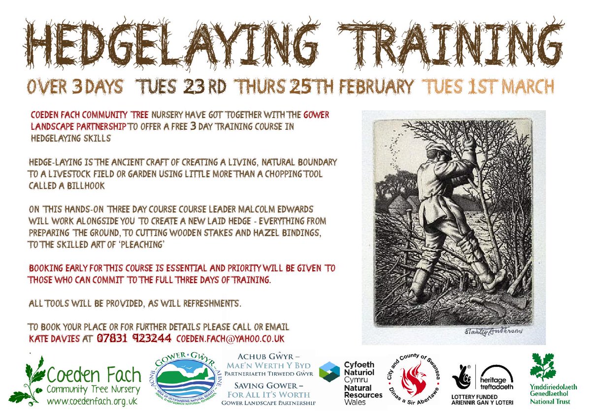 CoedenFachTrees's tweet photo. Hedgelaying training! Contact Kate for details! #hedgelaying https://t.co/kyiku7W0qp