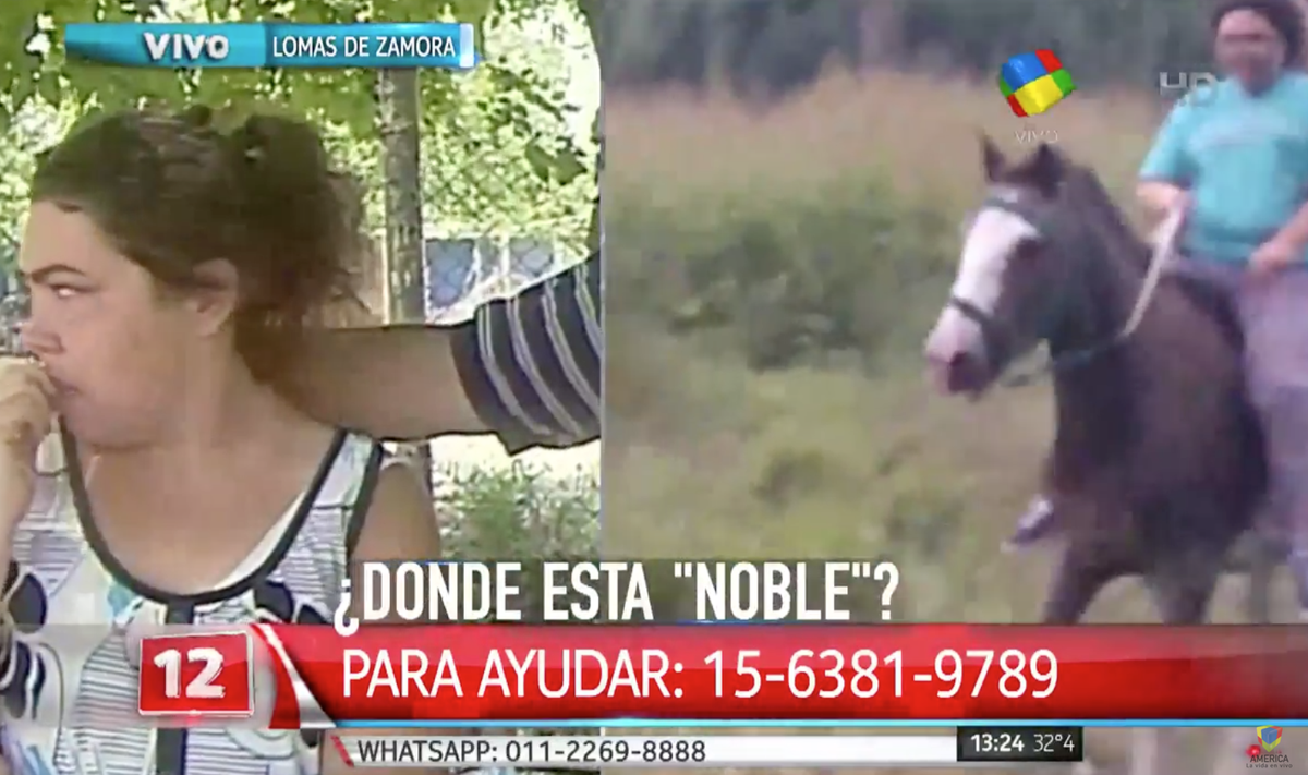 América TV tweet media