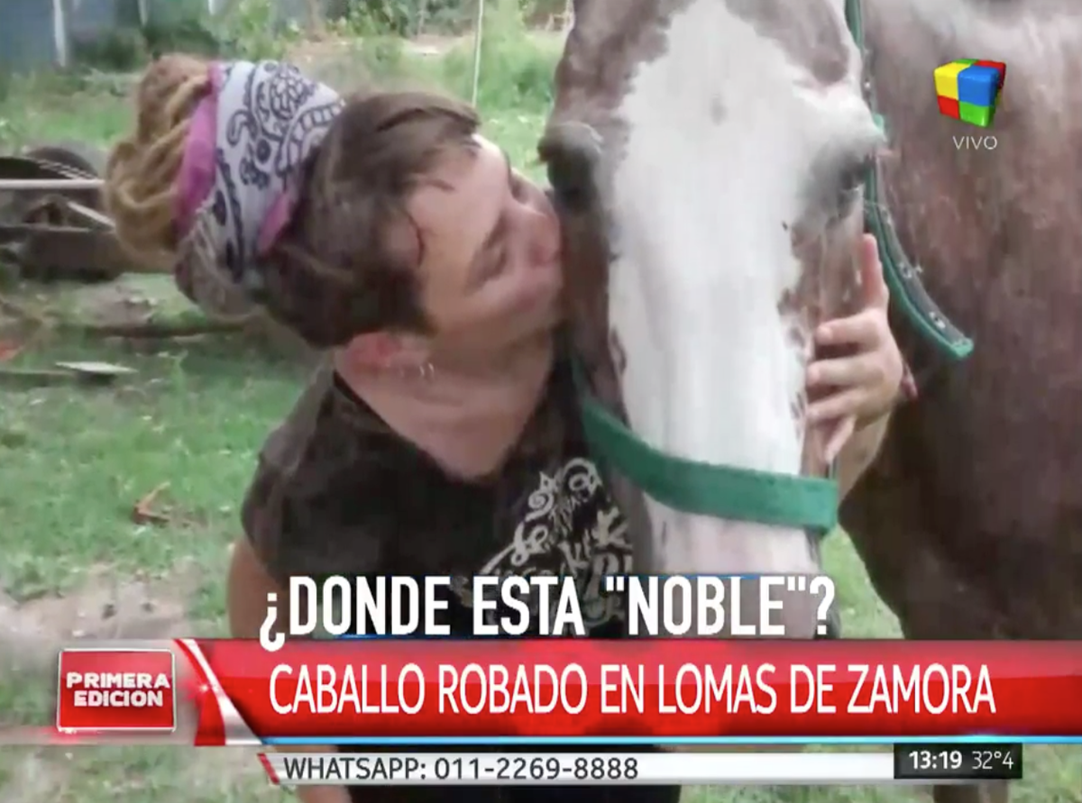 América TV tweet media