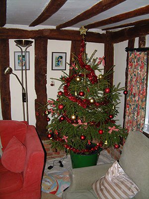 Don’t be afraid to prune! thinkgardenthinkrichard.co.uk/2012/11/30/don…