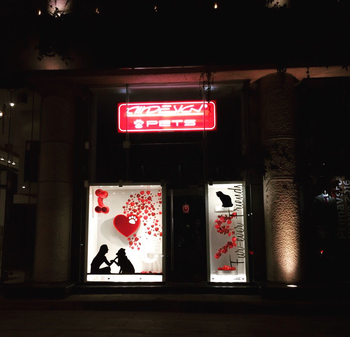 AirDesignPets's tweet photo. #AirDesignPETS #newshowcase #shopping #SanValentin #night https://t.co/vv3zYoT0qc