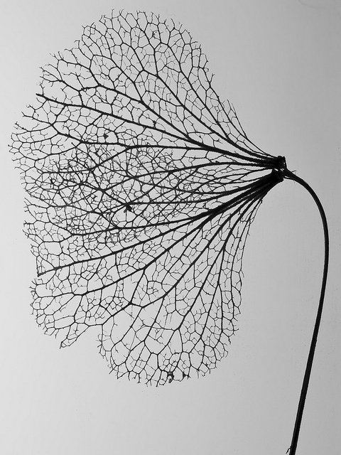 archillect's tweet photo. https://t.co/vozb8Txi85