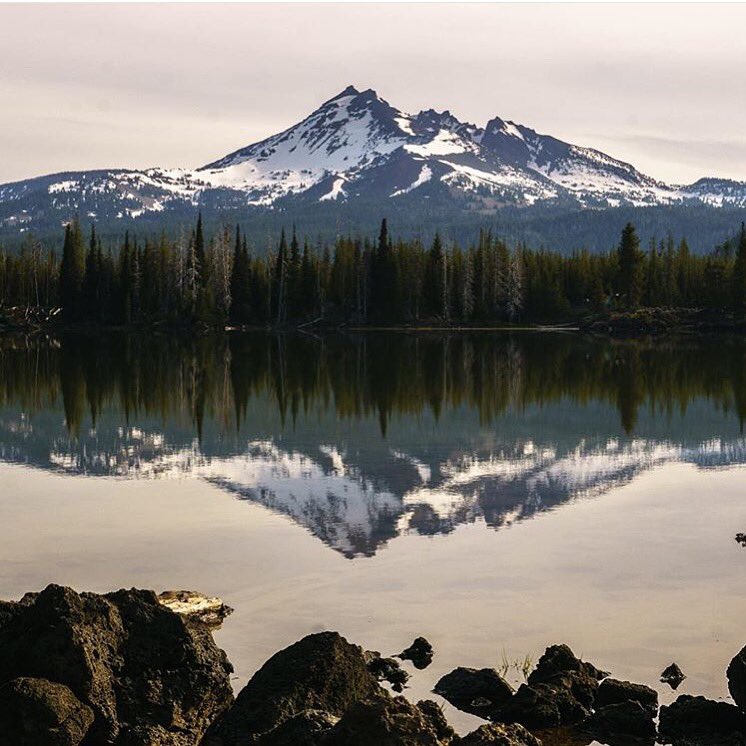 arisfordAI's tweet photo. Reflections at Spark Lake. #stepswiftly 📷: @KyleLedeboer https://t.co/pEdTwuAeHd