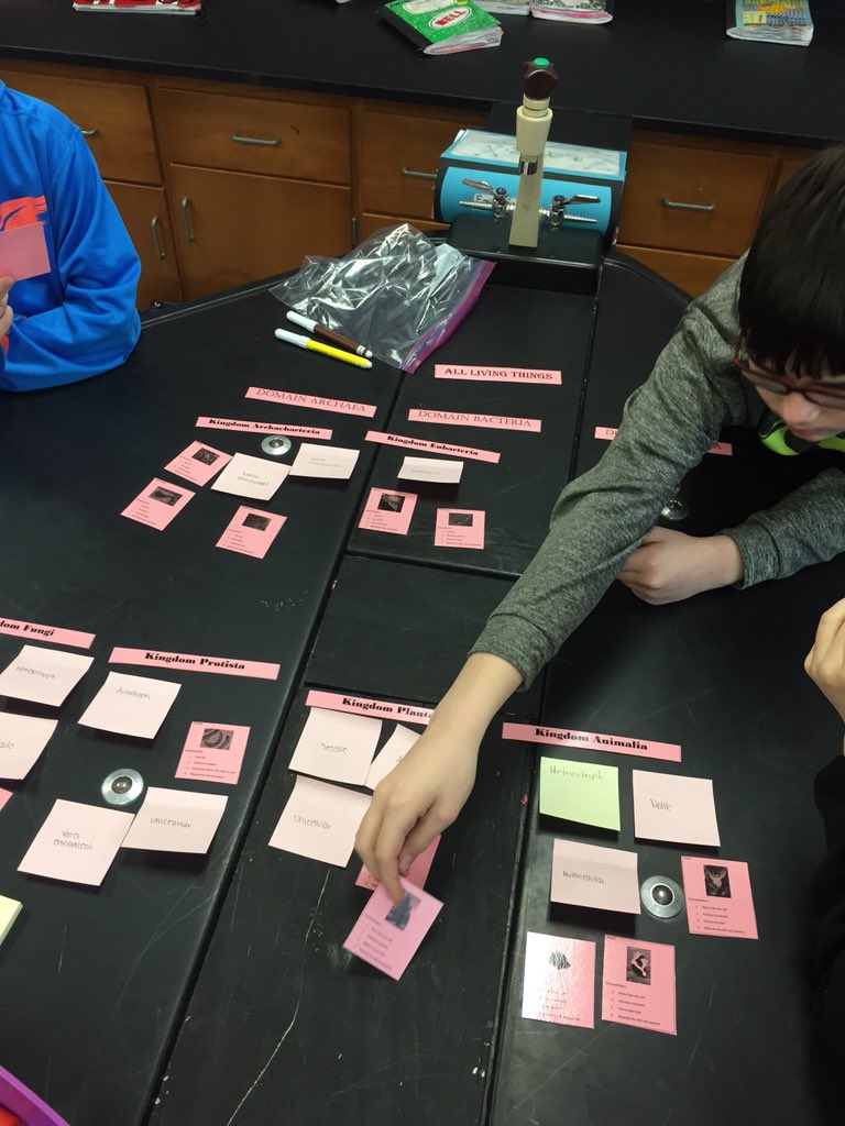 SCIENCEin406's tweet photo. Creating Table posters to practice classifying our Domains and Kingdoms! @HeritageBroncos #6th https://t.co/eIYMxdaHY5
