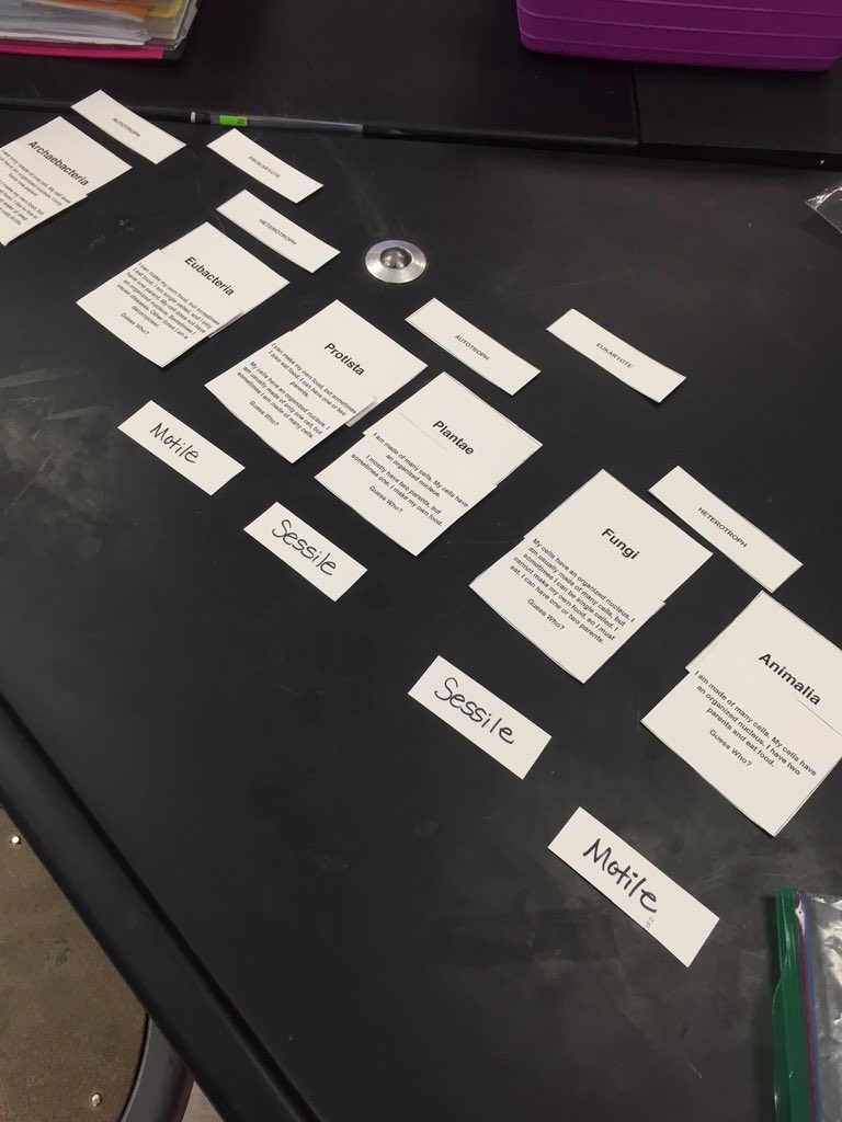 SCIENCEin406's tweet photo. Creating Table posters to practice classifying our Domains and Kingdoms! @HeritageBroncos #6th https://t.co/eIYMxdaHY5