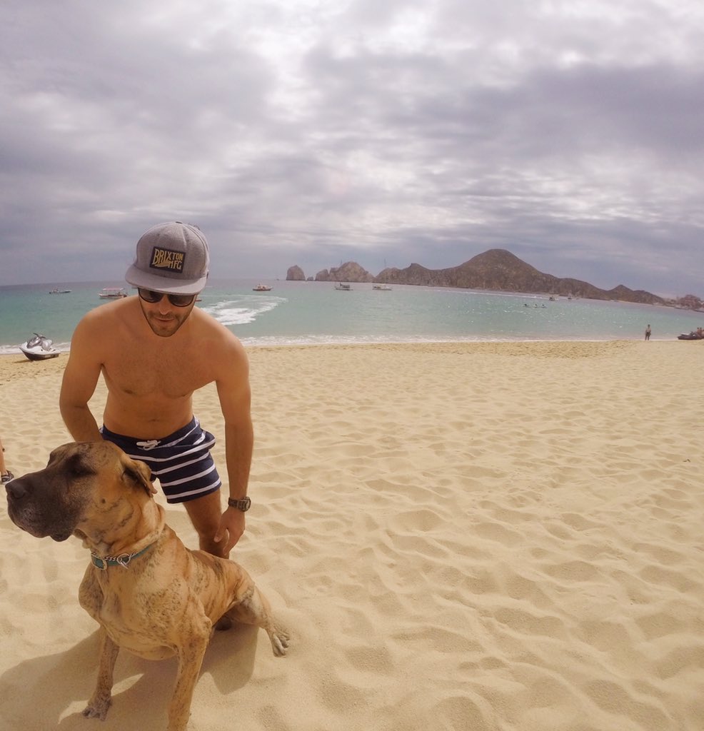 Andrés el gran Danés....... Cabo san Lucas!!!!! #greatdane