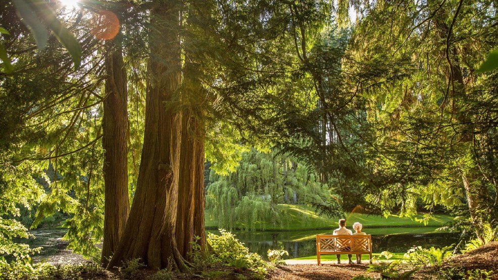 Do Bainbridge Island right! seattlerefined.com/lifestyle/the-… <a href="/MoraIceCream/">Mora Iced Creamery</a> @ElevenWinery <a href="/HitchcockDeli/">Hitchcock Deli</a> @bloedelreserve