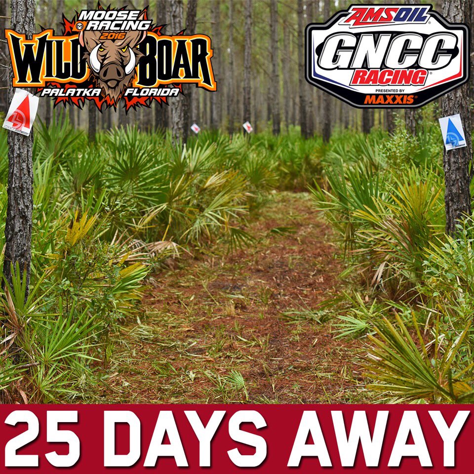 GNCCRacing's tweet photo. We're now just 25 days away from going racing at the Wild Boar GNCC in Florida. Are you ready? #GNCC #GNCCLive https://t.co/eM5dlrrrgm