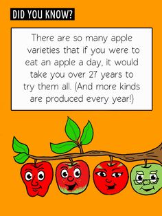 FTStarExpress's tweet photo. #StarExpressFunFact #ChildNutrition #FTCSC https://t.co/JvItnkGlTw