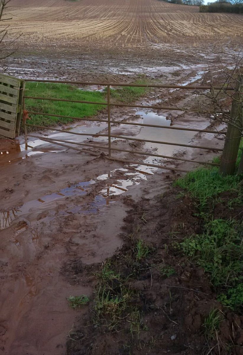 DaveThroup's tweet photo. #herefordshire maize. Poor farming practice. Soil down the slope, out the gate, into the local stream. https://t.co/eKOkjjeVEr