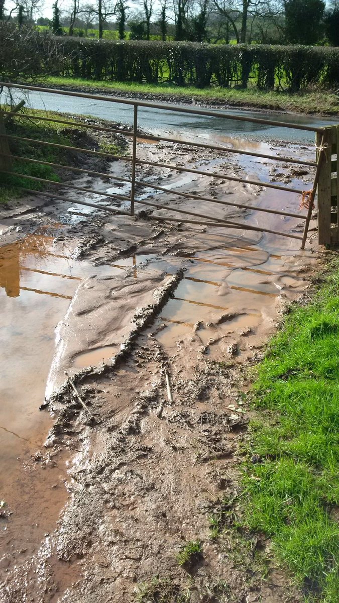 DaveThroup's tweet photo. #herefordshire maize. Poor farming practice. Soil down the slope, out the gate, into the local stream. https://t.co/eKOkjjeVEr