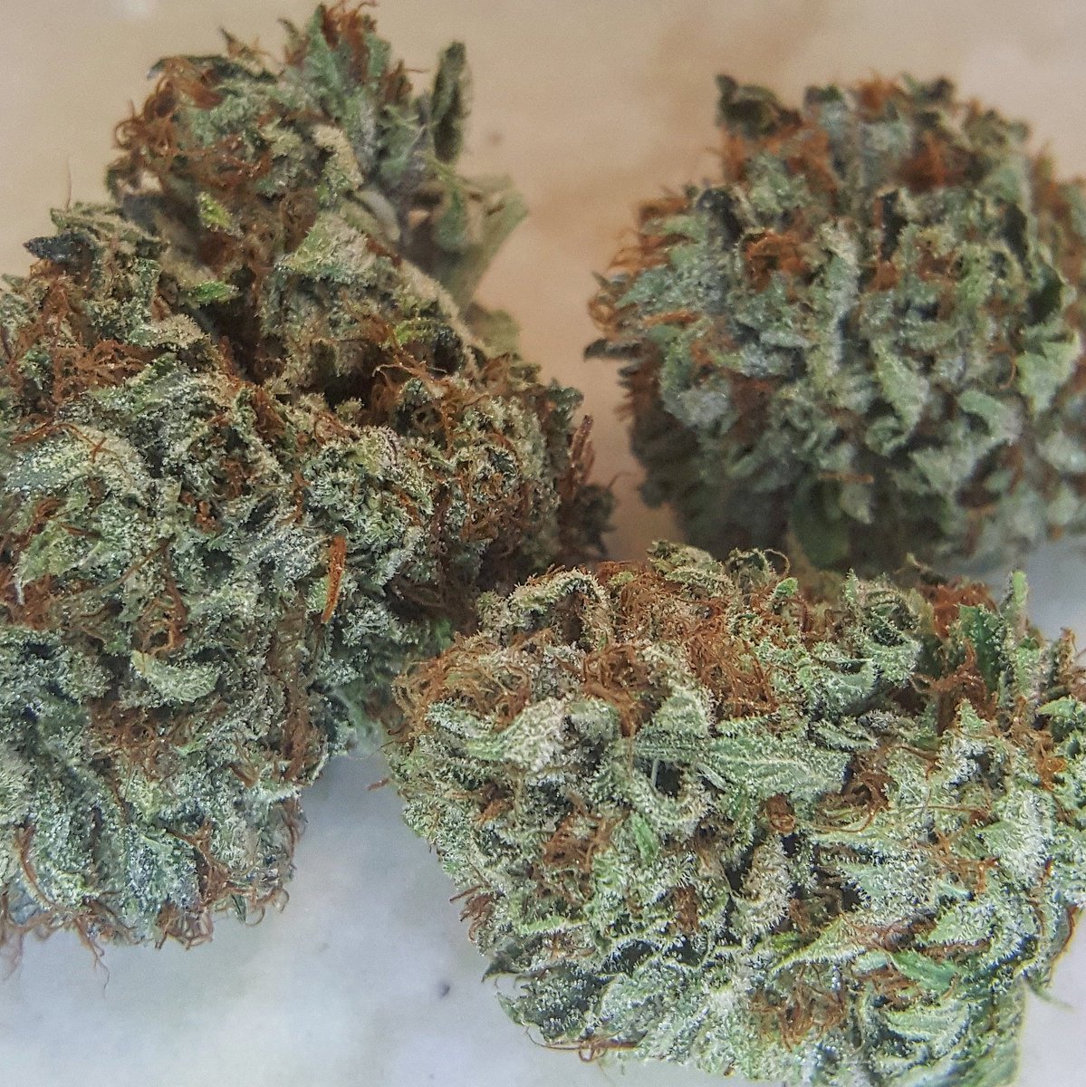 PLPCSANJOSE's tweet photo. Platinum Bubba $20 gram- $60 1/8 Private Reserve Collection https://t.co/2NvSWVvxZr