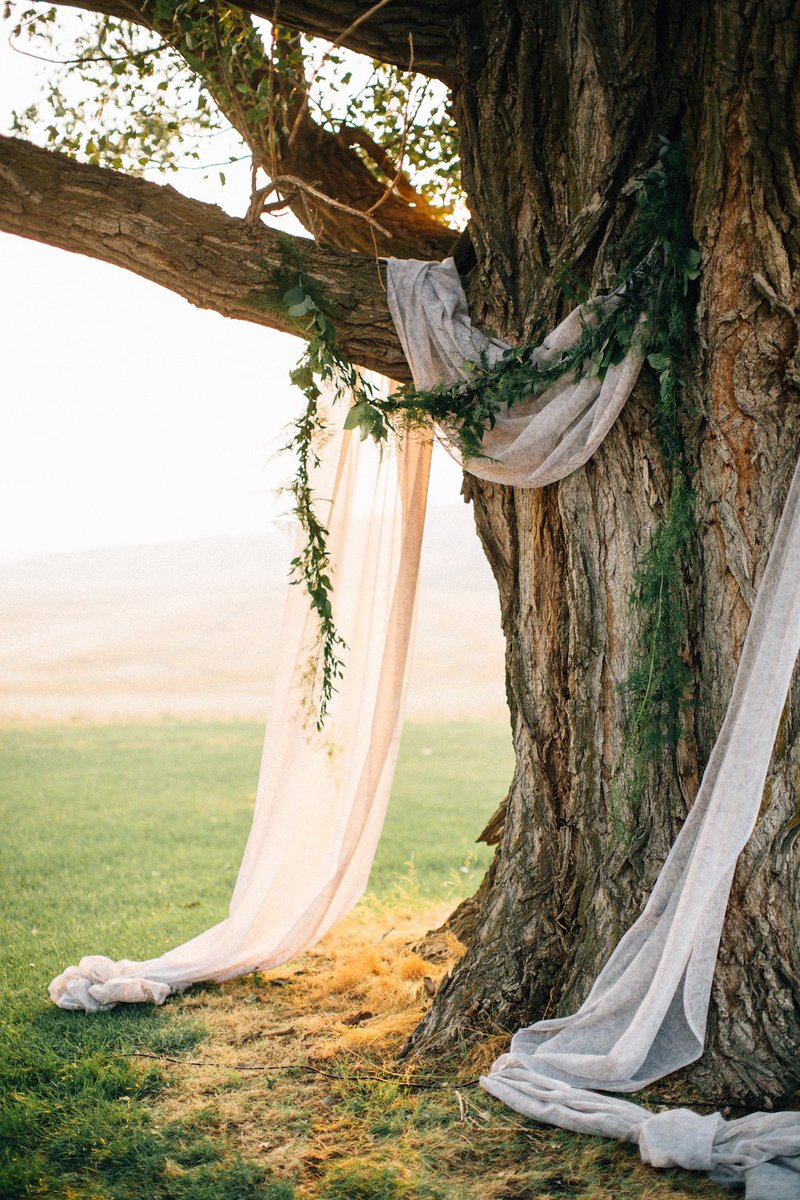 Allow #oncewedvendor @IraAndLucy to put your mind at ease by making your wedding perfect! ow.ly/Y7dCD