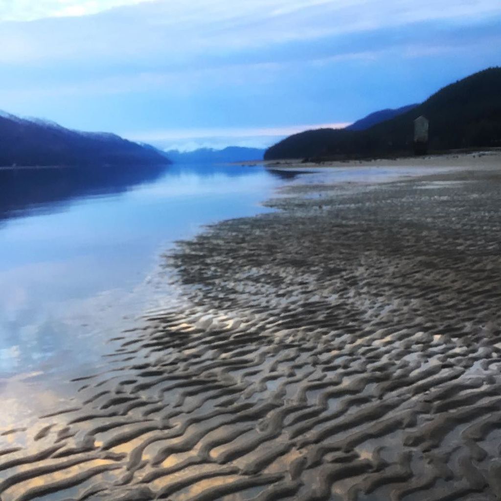 TravelJuneau's tweet photo. Beautiful morning for a pre-sunrise walk on Sandy Beach! #naturalalaska #getoutside #dougl… https://t.co/pQWnhBNnIN https://t.co/a4YHJTV4EJ