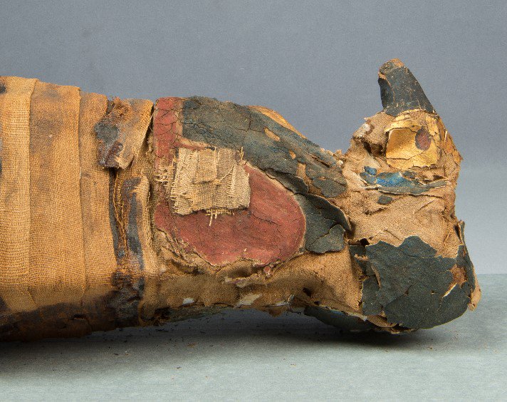 klmbee's tweet photo. Have a look at this recent before &amp; after treatment of an Egyptian ibis mummy   #transformationtuesday #conservation https://t.co/QsrFiN8FTY