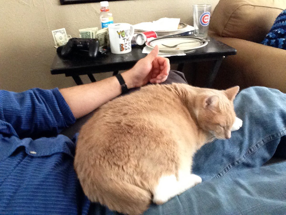 SwoleButterfly's tweet photo. I want to lift, but I also want to nap with my cat. https://t.co/Ef8iGkpH9m