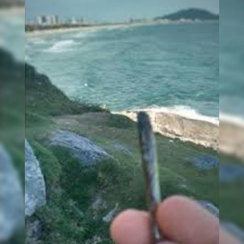 AndyFCThaTha's tweet photo. 🎵Marola marola marola..🍃✌🌊 https://t.co/g13UTmZvah