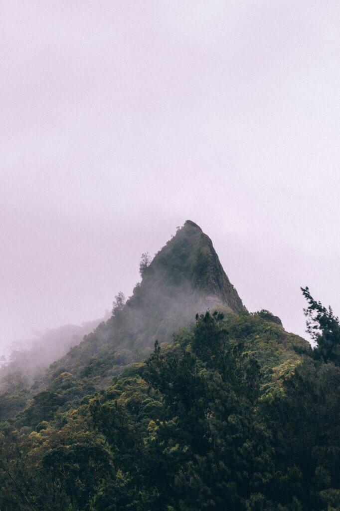 visualgasm's tweet photo. Oahu, Hawaii https://t.co/u9LkhgGRHq