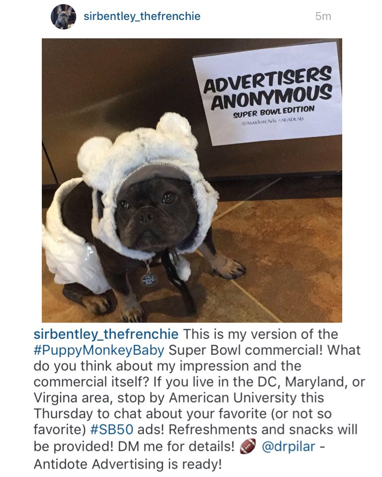 AntidoteAds's tweet photo. Sir Bentley is inviting you to #AdvertisersAnonymous this Thursday! DM @AntidoteAds for details! @pemckay #AUAdLab https://t.co/LtqmayBQRt