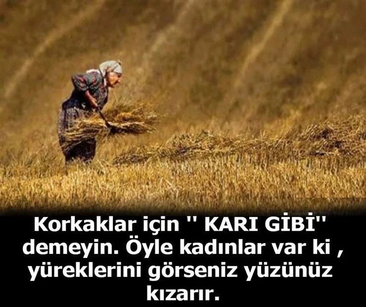 sedef_kabas's tweet photo. https://t.co/tZGdMO9RtF