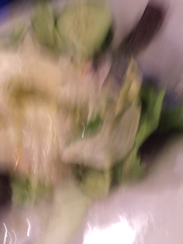 alllisynnn's tweet photo. starting a lettuce club at falcon academy!!! let me know if you're interested in joining! going to be a lot of fun! https://t.co/wUuU532Gig