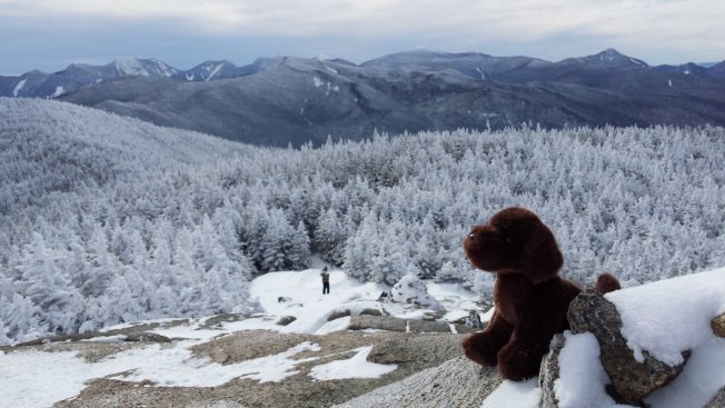 Bailey, the Honors Program unofficial mascot, enjoying the view atop Cascade Mountain in the Adirondacks! #ClarksonU