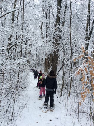 Winter wonderland today!