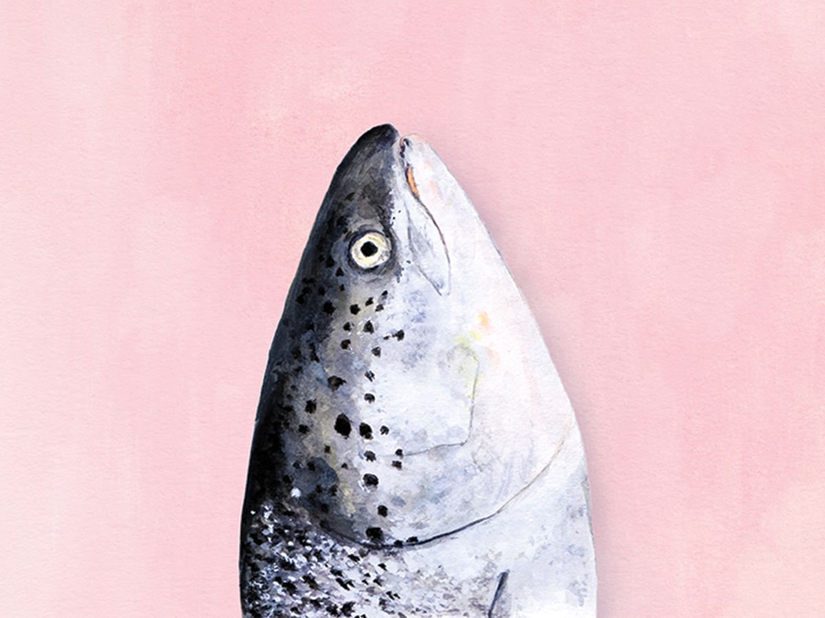 SAVEURMAG's tweet photo. .@lesliepariseau makes the case for eating fish heads on first dates https://t.co/jD7WKDInzA https://t.co/vniRD2t1fS