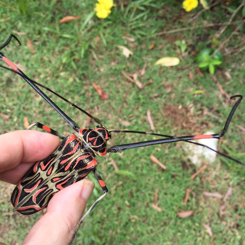 CazDYE0WcAAbYLM.jpg?format=jpg