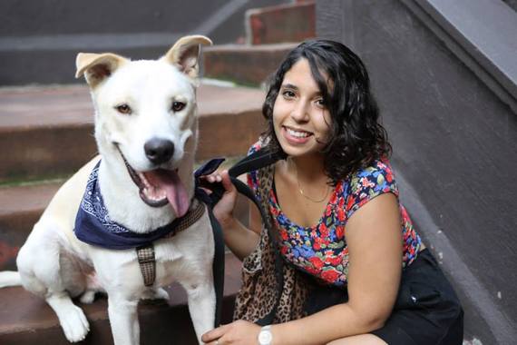 HelainaHovitz's tweet image. What To Expect When You're Fos'Pecting: Finding Love as a Foster Dog Mom huff.to/1WbKmN6 @FosterDogsNYC