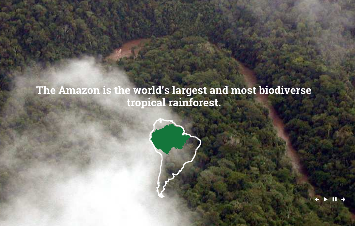 annalappe's tweet photo. Beautiful! RT @amazonwatch: #ExploreTheAmazon https://t.co/XNm83bOsSz #climatechange https://t.co/7CkAuvkEQR