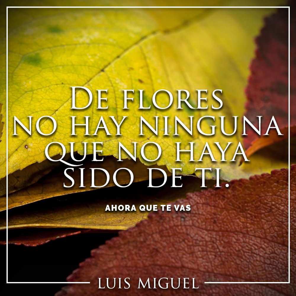 Total 92+ imagen frases canciones luis miguel - Thptletrongtan.edu.vn