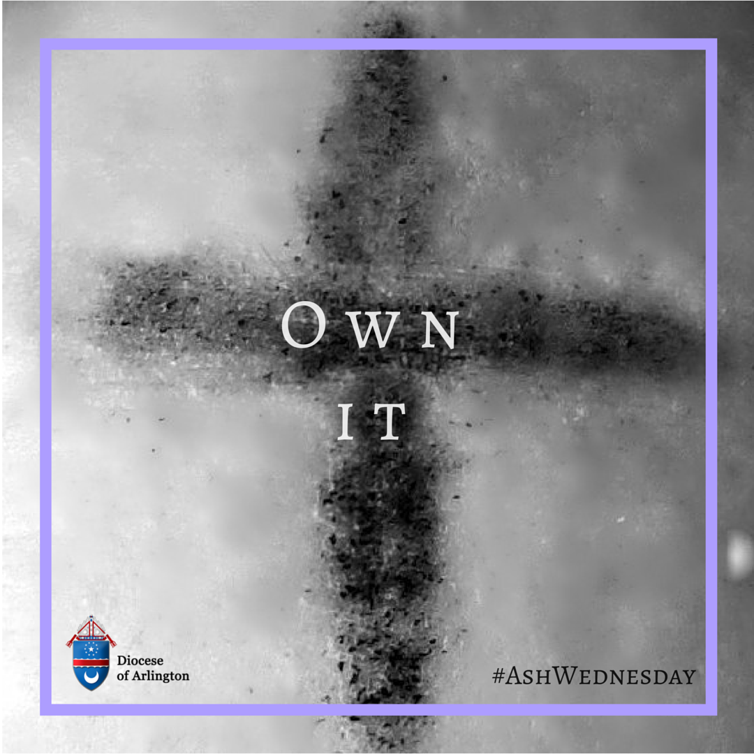 Catholic Diocese of Arlington tweet media