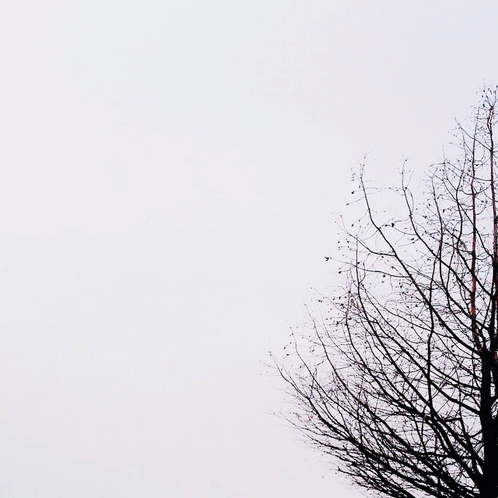 { - <a href="/StrongerThanMen/">Braun Strowman.</a> ---> <a href="/_FlameOfDawn/">Giselle ~</a> - }