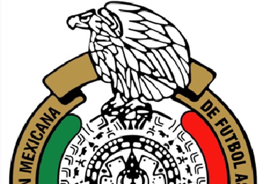 Golmxweb's tweet image. Guillit en la mira del PSG
No hemos ganado nada dice Osorio
El Tri se reporta listo en Miami

#NotiTRI