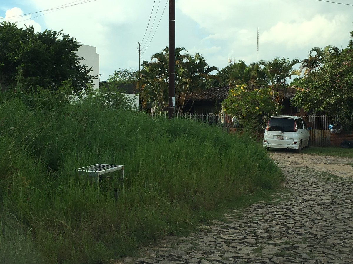 aedossa's tweet photo. @Ferreiromario1 @AsuDsu hace meses que reclamo. Plaza 1er presidente bo. Mbocayati es una puerqueza ycalle rota https://t.co/USfZvWAg0z