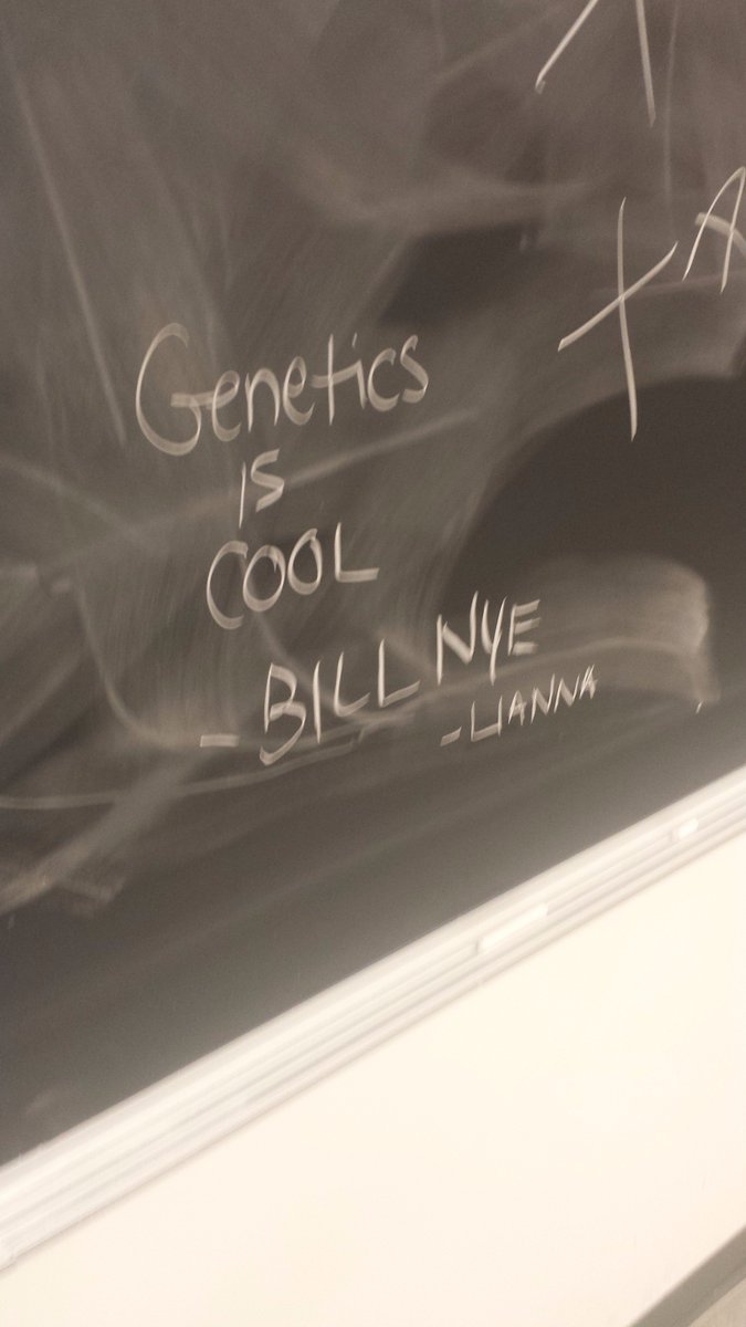 YorkUScientists's tweet photo. Well, it must've been a good class today, at least 1 student liked genetics! (woo N=1) https://t.co/zALUj0Cpvf
