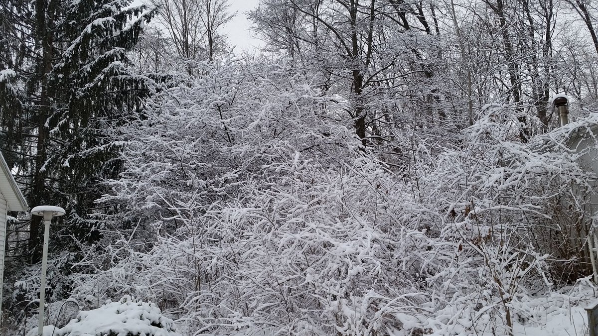 lp6142261243's tweet photo. Jacksontown, Ohio @chris10tv https://t.co/op6lN6cF5C