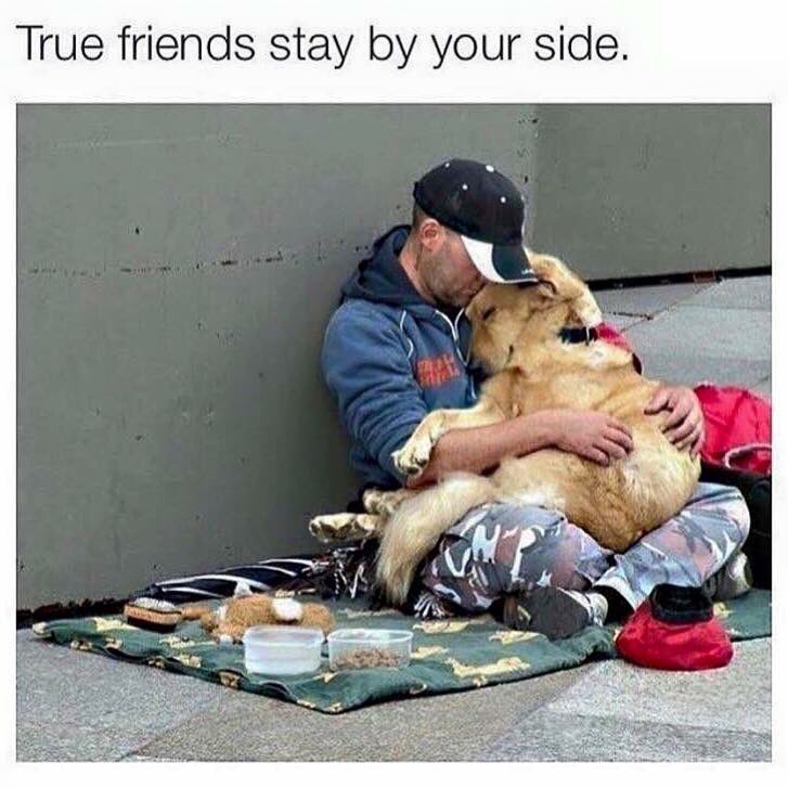 SoDamnTrueGuy's tweet image. Best friends ❤️