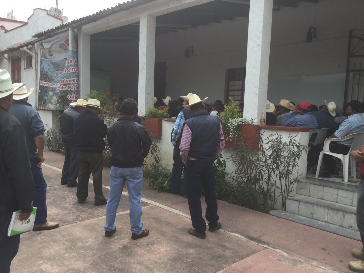 Homerogomez_g's tweet photo. Ejidos y Comunidades de la #ReservaMonarca exigen apoyos a Semarnat y Conanp, Se sienten abandonados por Ambiental https://t.co/5WLnwuDYUS