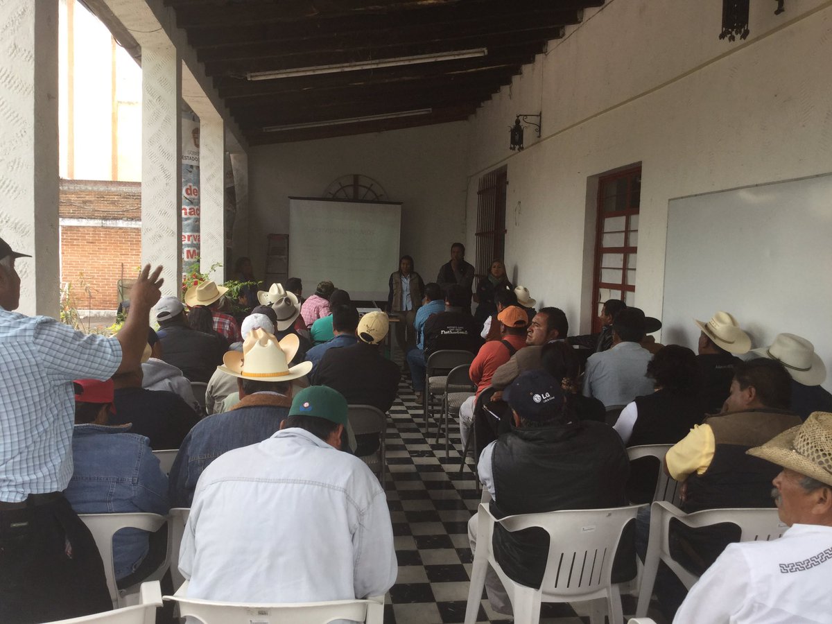 Homerogomez_g's tweet photo. Ejidos y Comunidades de la #ReservaMonarca exigen apoyos a Semarnat y Conanp, Se sienten abandonados por Ambiental https://t.co/5WLnwuDYUS